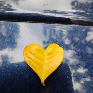 Meet your Posher, Irene